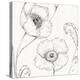 Blossom Sketches I-Daphne Brissonnet-Stretched Canvas
