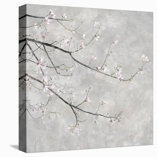 Blossom Spray I-Tania Bello-Stretched Canvas