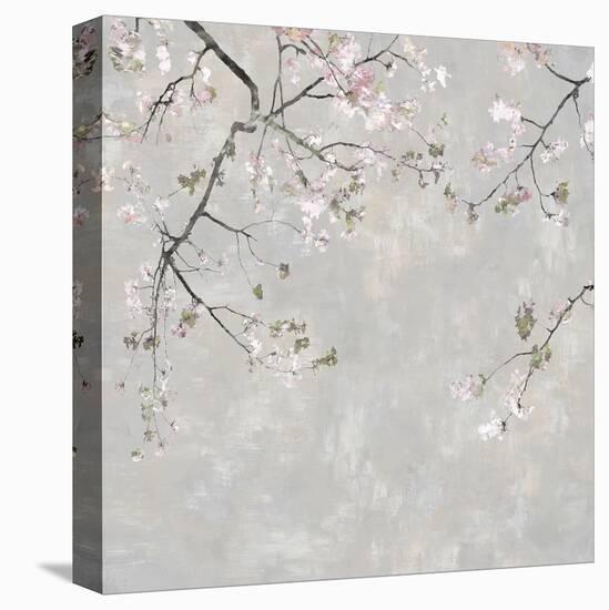 Blossom Spray II-Tania Bello-Stretched Canvas