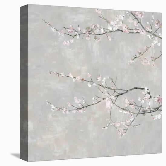 Blossom Spray III-Tania Bello-Stretched Canvas