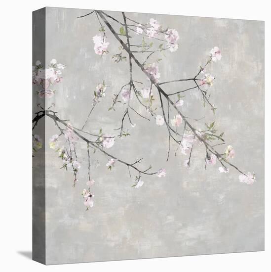 Blossom Spray IV-Tania Bello-Stretched Canvas