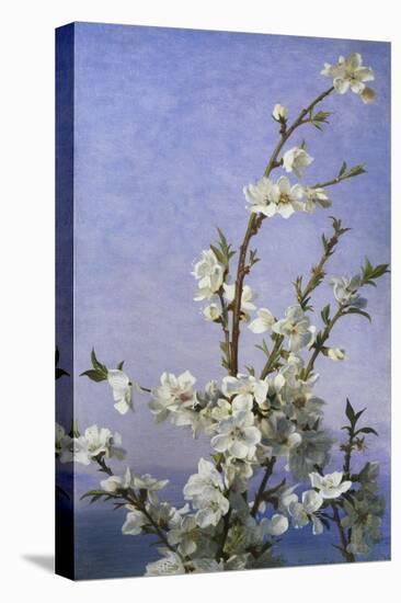 Blossom-Sophie Anderson-Premier Image Canvas