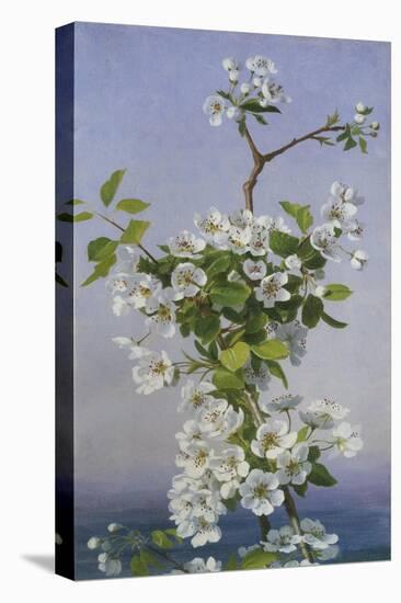 Blossom-Sophie Anderson-Premier Image Canvas