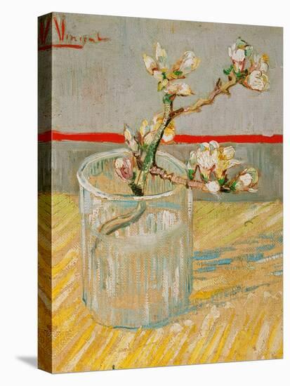 Blossoming Almond Branch in a Glass, c.1888-Vincent van Gogh-Premier Image Canvas