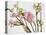 Blossoming Cherry Branches-C. Nidhoff-Lang-Premier Image Canvas