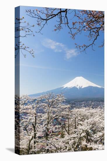 Blossoming Cherry Trees in the Hills of Fujiyoshida in Front of Snowy Mount Fuji-P. Kaczynski-Premier Image Canvas