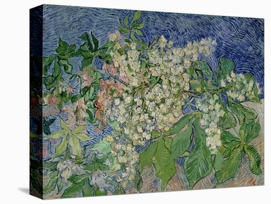 Blossoming Chestnut Branches, c.1890-Vincent van Gogh-Premier Image Canvas