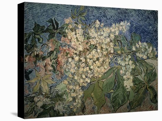 Blossoming Chestnut Branches-Vincent van Gogh-Premier Image Canvas