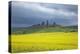 Blossoming Rape Field, Sandstone Formation of the Teufelsmauer-Uwe Steffens-Premier Image Canvas