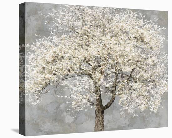 Blossoming Tree-Tania Bello-Stretched Canvas