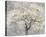 Blossoming Tree-Tania Bello-Stretched Canvas