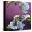 Blossoms 07-Rick Novak-Stretched Canvas