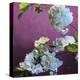 Blossoms 07-Rick Novak-Stretched Canvas