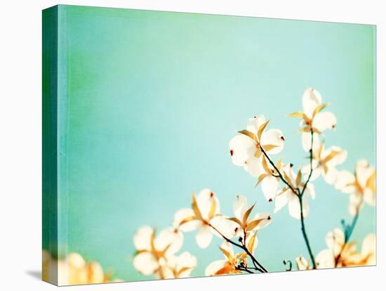 Blossoms Adrift-Carolyn Cochrane-Premier Image Canvas