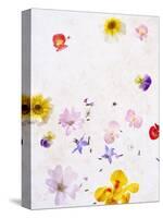 Blossoms, Bright, Different, Still Life-Axel Killian-Premier Image Canvas