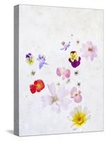 Blossoms, Bright, Different, Still Life-Axel Killian-Premier Image Canvas