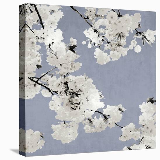 Blossoms on Blue I-Kate Bennett-Stretched Canvas