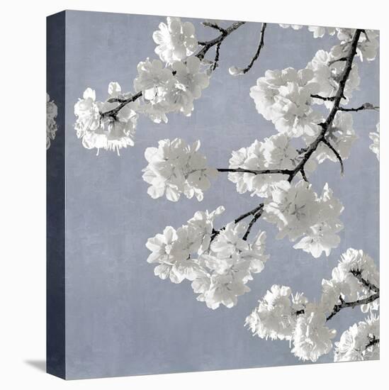 Blossoms on Blue II-Kate Bennett-Stretched Canvas