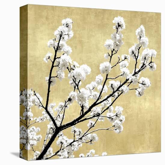 Blossoms on Gold II-Kate Bennett-Stretched Canvas