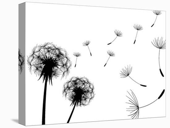 Blow Dandelions On White Background-Sergey Kolesov-Stretched Canvas