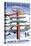 Blowing Rock, North Carolina - Ski Signpost-Lantern Press-Stretched Canvas