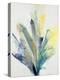 Blue Agave Bloom II-Kari Taylor-Premier Image Canvas