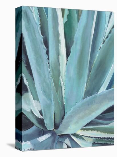 Blue Agave-Alana Clumeck-Stretched Canvas