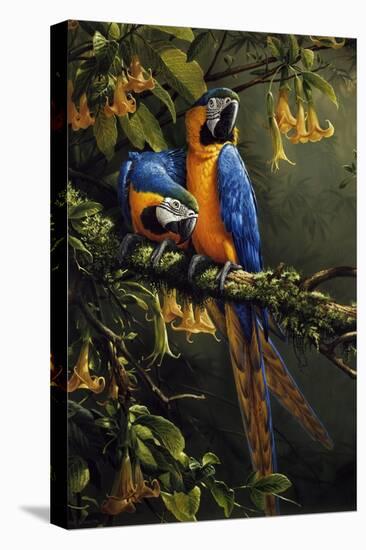 Blue and Gold Macaw-Michael Jackson-Premier Image Canvas