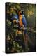 Blue and Gold Macaw-Michael Jackson-Premier Image Canvas