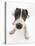 Blue-And-White Jack Russell Terrier Puppy, Scamp-Mark Taylor-Premier Image Canvas