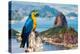 Blue and Yellow Macaw in Rio De Janeiro, Brazil-Frazao-Premier Image Canvas