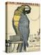 Blue and Yellow Macaw Parrot-Abel Faivre-Stretched Canvas