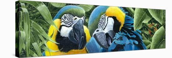 Blue and Yellow Macaws-Durwood Coffey-Premier Image Canvas