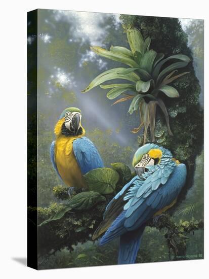 Blue and Yellow Macaws-Harro Maass-Premier Image Canvas