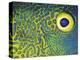 Blue and Yellow Triggerfish Eye-Bill Varie-Premier Image Canvas