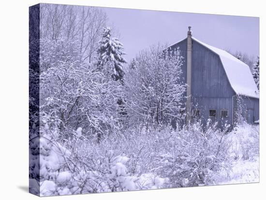 Blue Barn, Rochester Hills, Michigan, USA-Claudia Adams-Premier Image Canvas