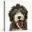 Blue Bearded Collie Pup, Misty, 3 Months, Panting-Mark Taylor-Premier Image Canvas