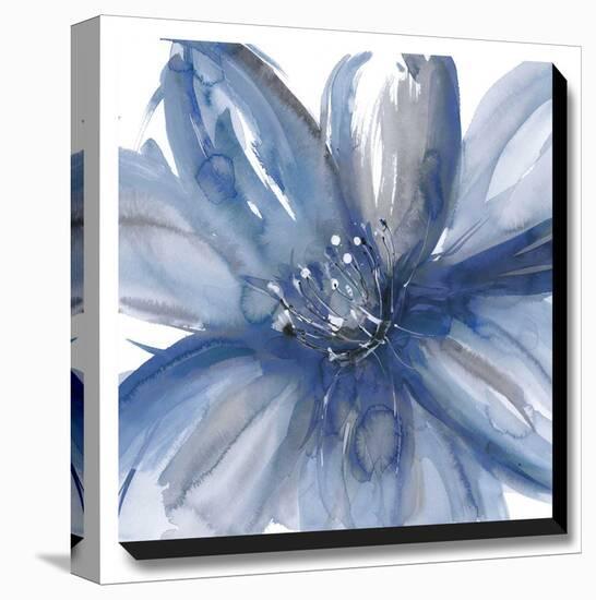 Blue Beauty I-Rebecca Meyers-Stretched Canvas