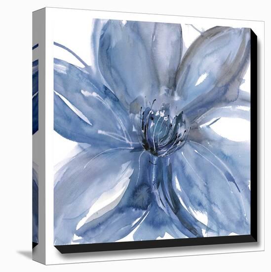 Blue Beauty II-Rebecca Meyers-Stretched Canvas