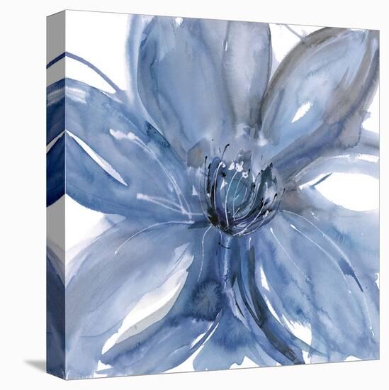 Blue Beauty II-Rebecca Meyers-Stretched Canvas