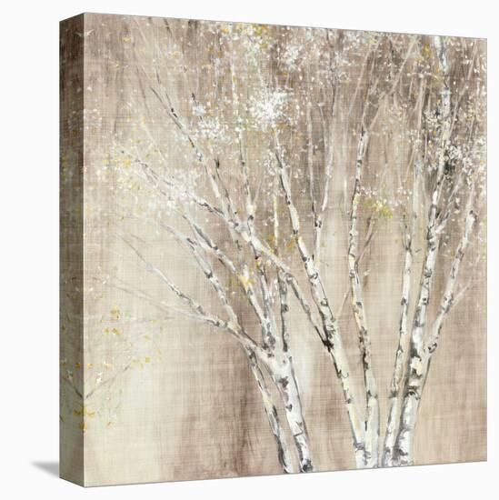 Blue Birch Neutral-Julia Purinton-Stretched Canvas