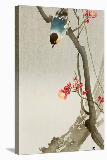 Blue Bird on a Plum Tree-Koson Ohara-Premier Image Canvas