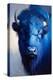 Blue Bison-Vivienne Dupont-Stretched Canvas