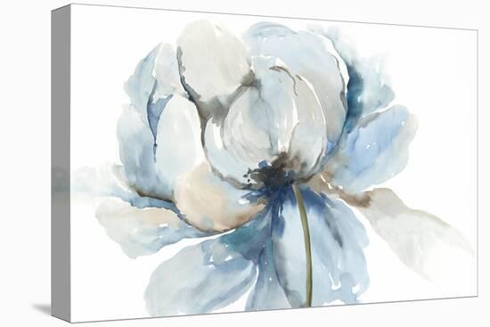 Blue Blub Flower-Asia Jensen-Stretched Canvas