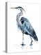 Blue Blue Heron II-Jennifer Parker-Stretched Canvas