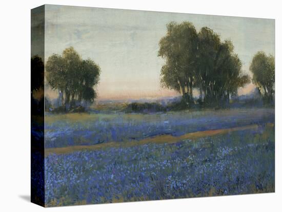 Blue Bonnet Field II-Tim O'toole-Stretched Canvas