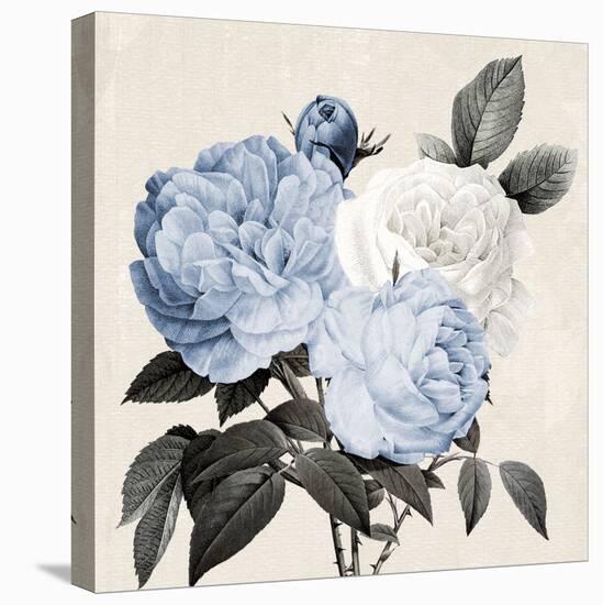 Blue Botanical Arrangement II-Kelly Donovan-Stretched Canvas