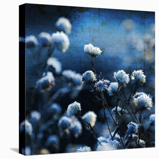 Blue Bouquet-Philippe Sainte-Laudy-Premier Image Canvas