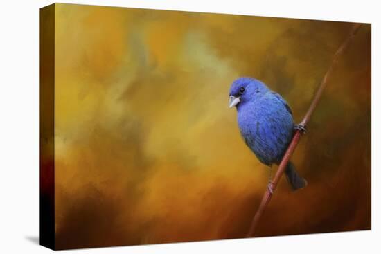 Blue Bunting in Autumn-Jai Johnson-Premier Image Canvas