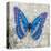 Blue Butterfly I-Alan Hopfensperger-Stretched Canvas
